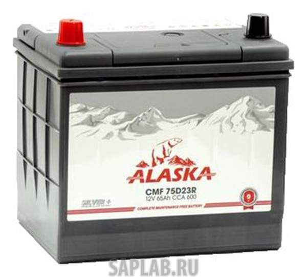 Купить ALASKA 8808240010436 Аккумулятор автомобильный  ALASKA CMF 8808240010436 65 Ач