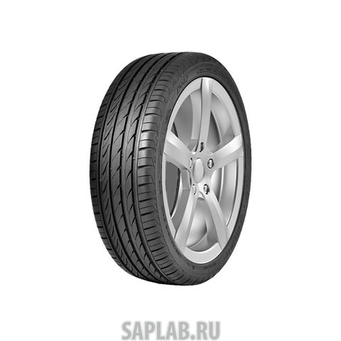 Купить DELINTE 6901532200170 Шины Delinte DH2 185/55 R15 82V