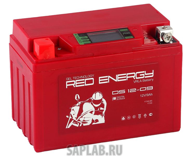 Купить RED_ENERGY DS1209 Аккумуляторная батарея Red Energy DS 1209