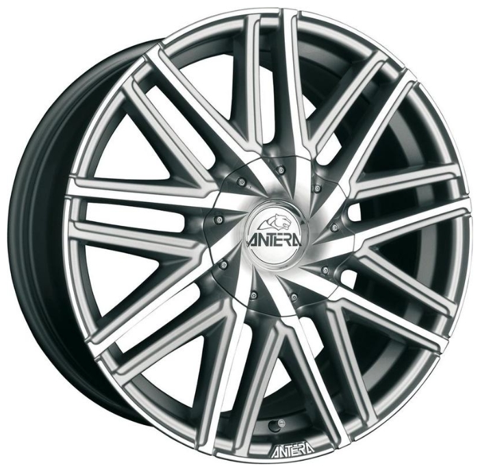 Купить Antera WHS095422 509 20/9 ET30 Polar silver