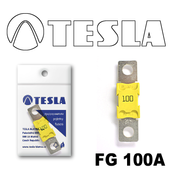 Купить Tesla FG100A Предохранитель MEGA 100A